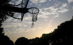 篮球教学APP开发有哪些参考类型？